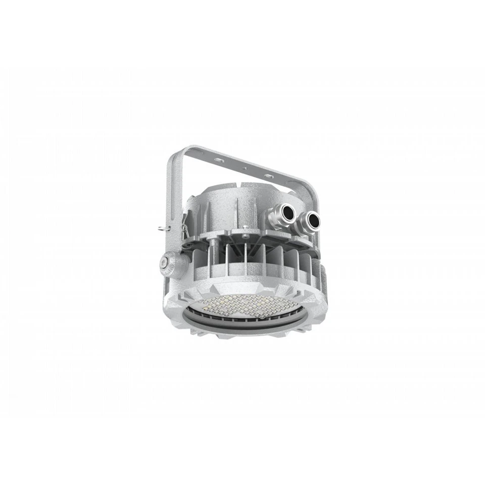 100W Circular EX-proof Spot Light suppliers